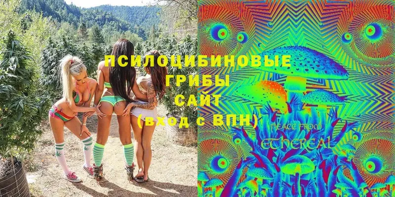 Галлюциногенные грибы Cubensis  Корсаков 